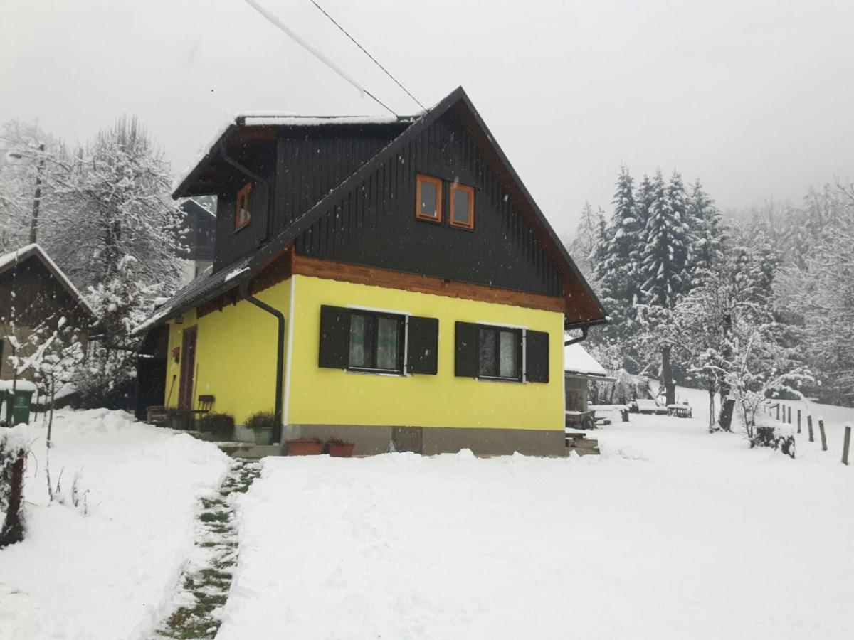 Kuca Za Odmor Forest Dream U Blizini Rijeke Kupe Plesce Exterior photo
