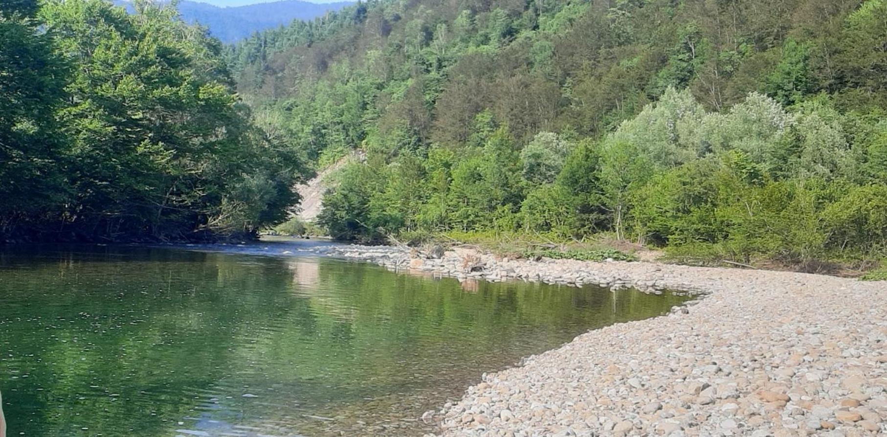 Kuca Za Odmor Forest Dream U Blizini Rijeke Kupe Plesce Exterior photo